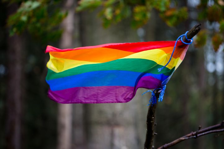 Prideflagge Regenbogenfahne an einen Stock gebunden