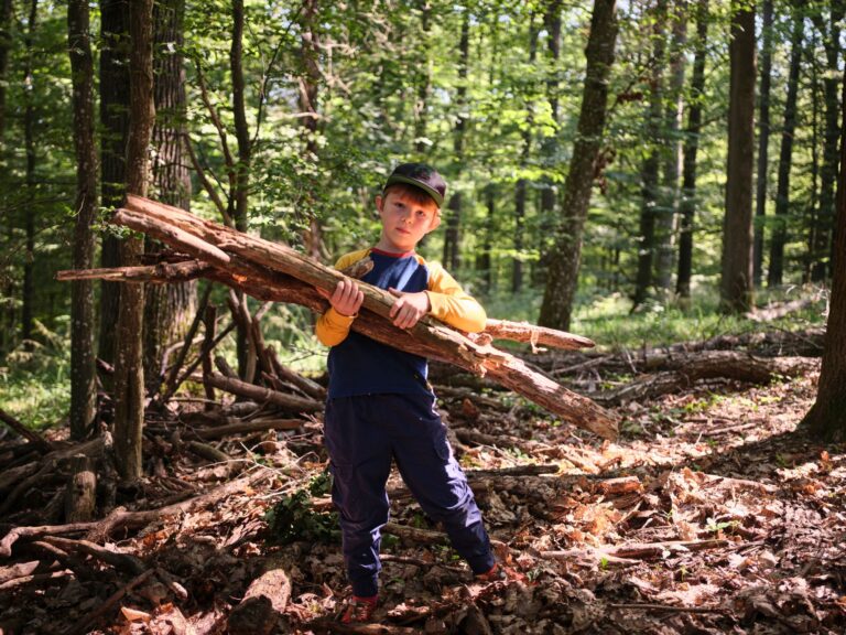 Ein Junge sammelt Äste im Wald