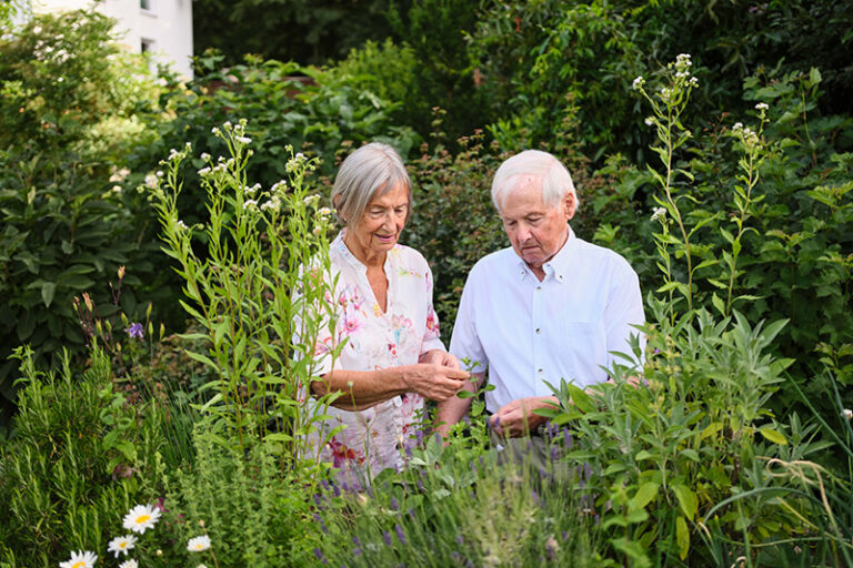 Eine Seniorin und ein Senior inmitten von Pflanzen in einem Garten