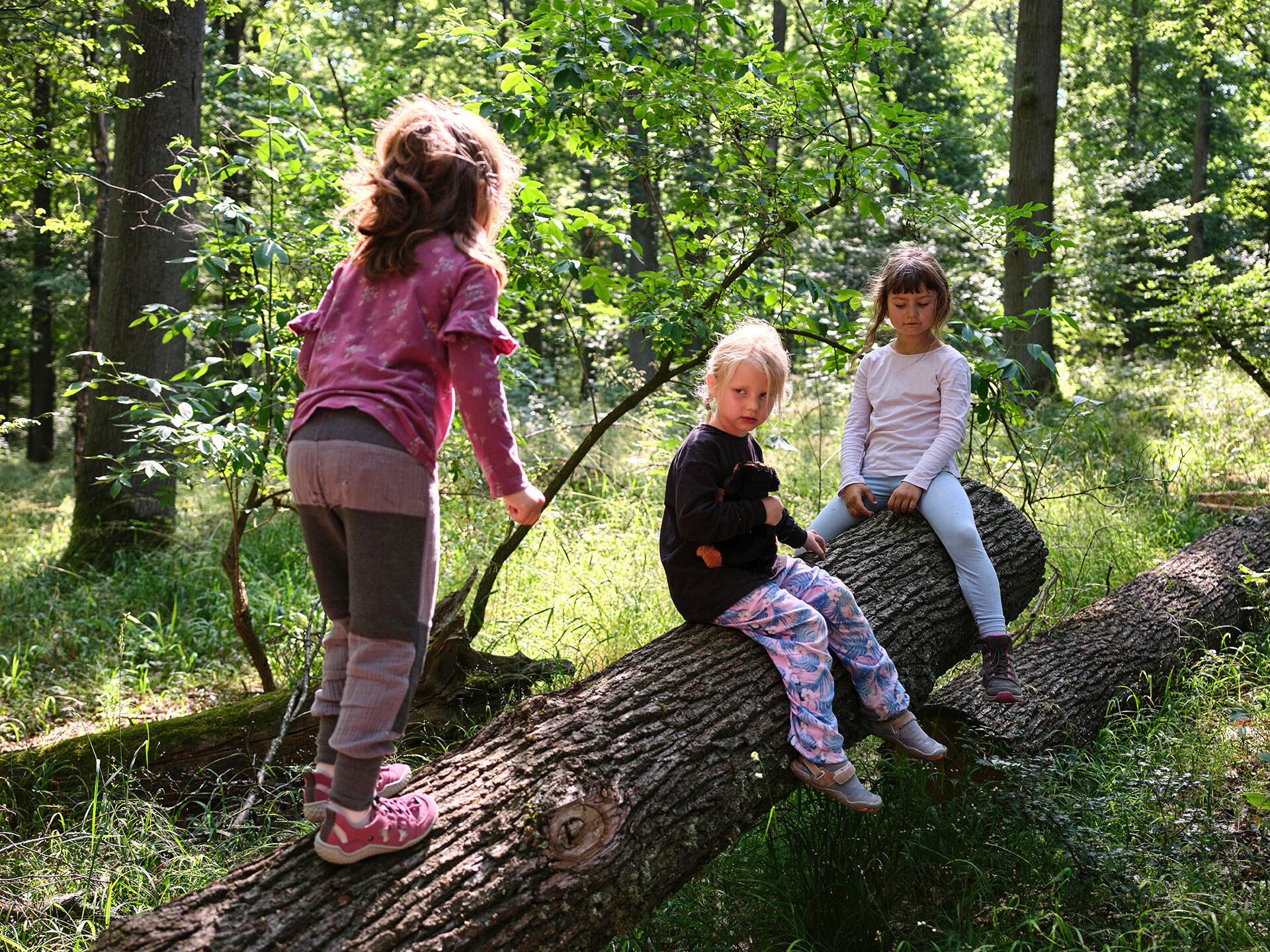Drei Mädchen klettern und sitzen auf Baumstämmen im Wald.