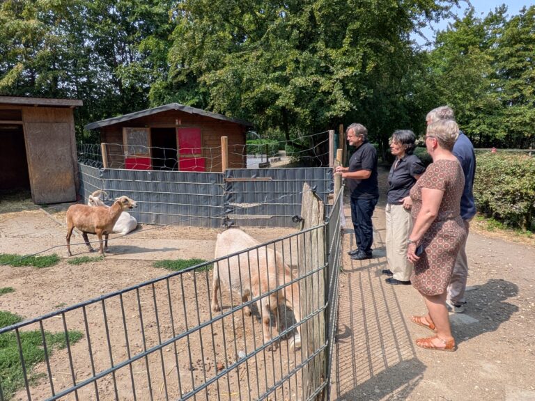 AWO Sommertour 26 Lernbauernhof Ingenhammshof