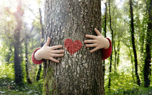Ein Kind im roten Pullover umarmt im Wald einen Baum, auf dessen Rinde ein rotes Herz gemalt ist. Vom Kind sind nur die Hände/Arme zu sehen.