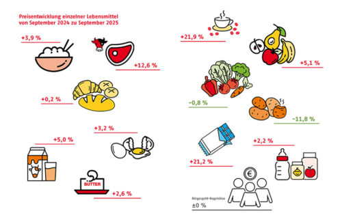 Grafik: Preisentwicklung von Lebensmitteln