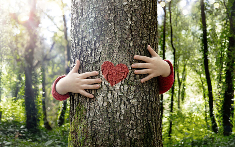 Baum im Wald mit rotem Herz auf der Rinde, Kinderarme umfassen den Baum