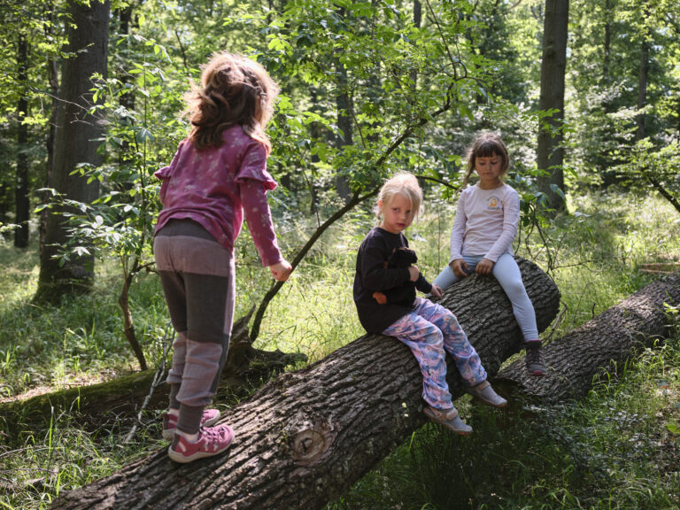 Kinder spielen im Wald