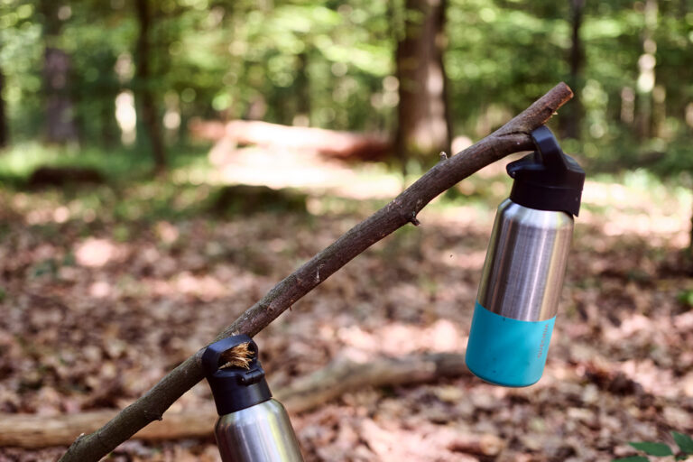 Zwei Edelstahl-Flaschen hängen an einem Ast im Wald.