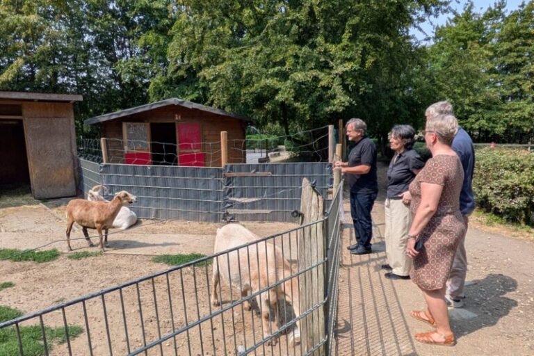 Sommertour der AWO-Präseident*innen: Besuch AWO Lernbauernhof Duisburg