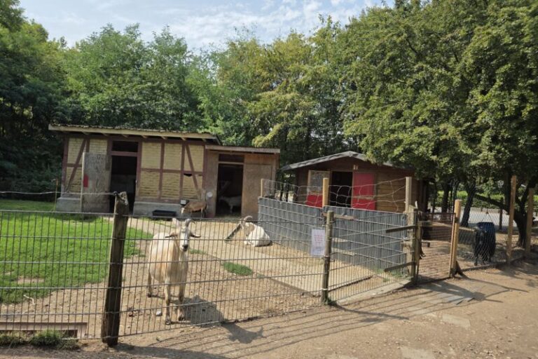 Sommertour der AWO-Präseident*innen: Besuch AWO Lernbauernhof Duisburg