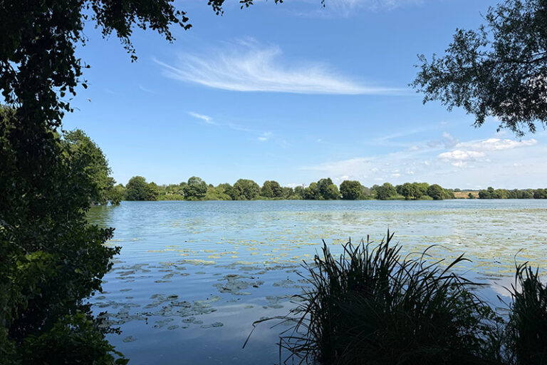 Sommertour der AWO-Präseident*innen: Besuch des Ökologischen Schulorts Wismar
