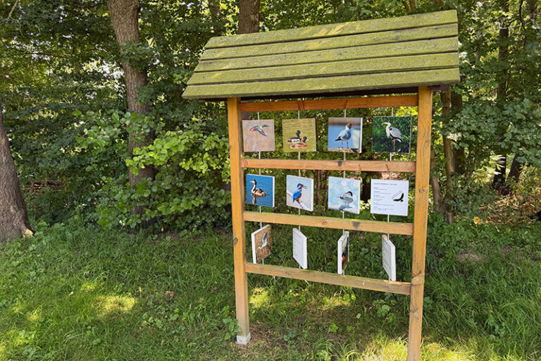 Sommertour der AWO-Präseident*innen: Besuch des Ökologischen Schulorts Wismar