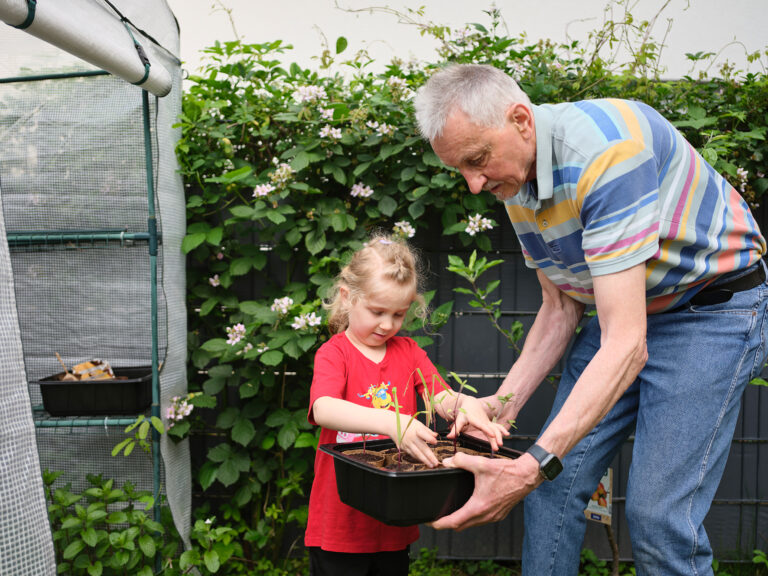 Ein kleines Mädchen und ein Senior mit Jungpflanzen im Garten
