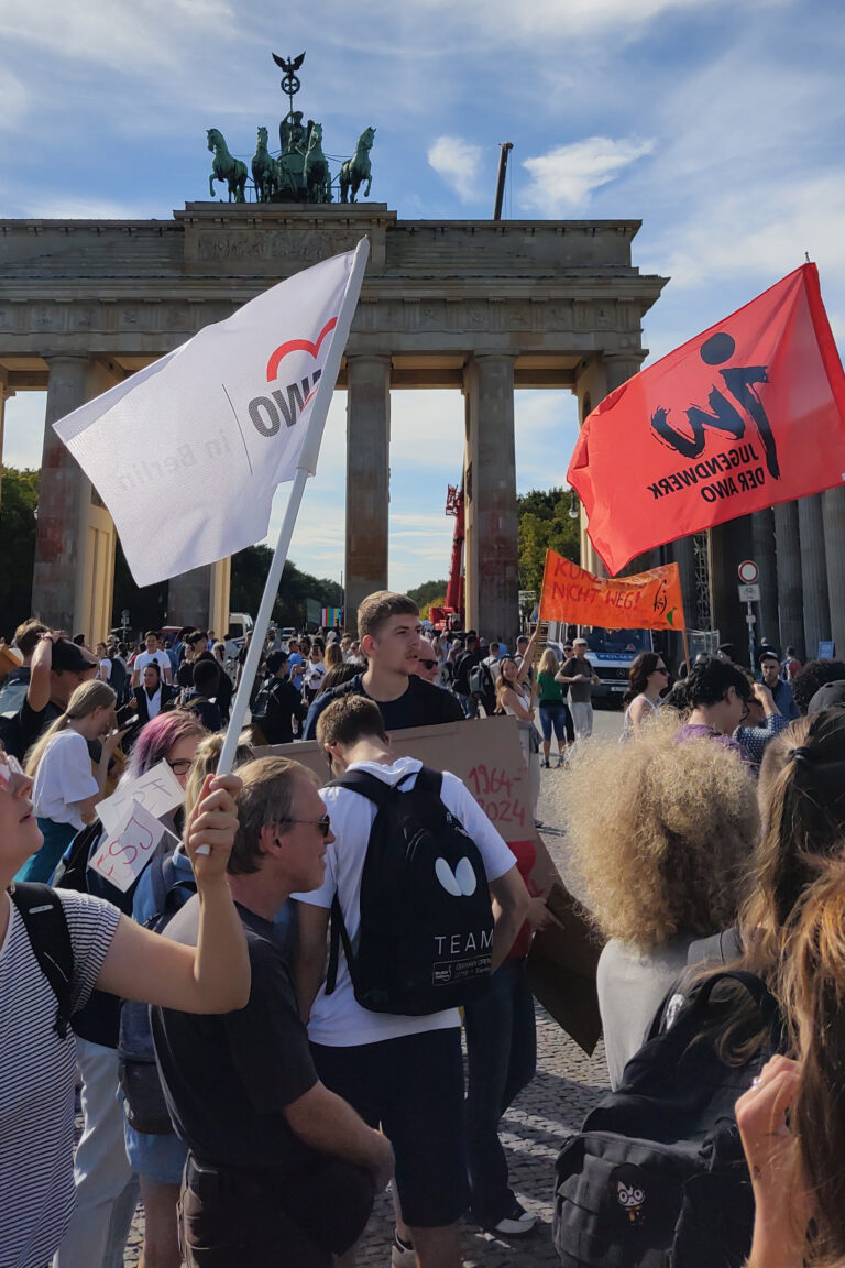 Eine große Menschenmenge steht vor dem Brandenburger Tor und hält viele Plakate und Banner in die Luft. Auf einigen Flaggen ist das AWO-Logo oder das Logo des Jugendwerk der AWO zu sehen.