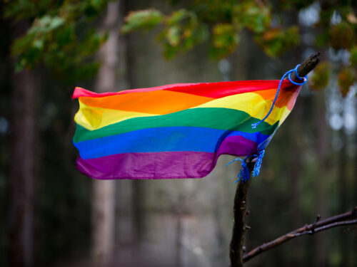 Eine Regenbogen-Flagge, die an einem Ast befestigt ist, weht im Wind.