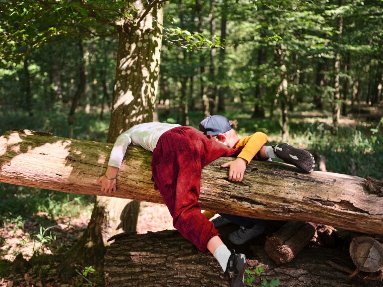Zwei Kinder spielen im Wald und klettern über einen Baumstamm.