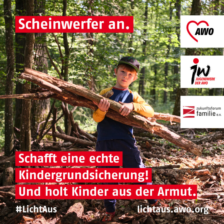 Ein Junge sammelt Äste im Wald. Auf dem Bild steht "Scheinwerfer an. Schafft eine echte Kindergrundsicherung!"
